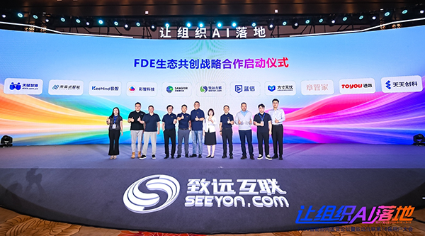 南宫NG28建设，FDE